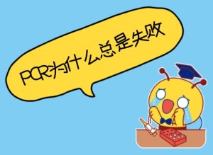 PCR為什么總是失敗？——5個(gè)常見原因與解決辦法